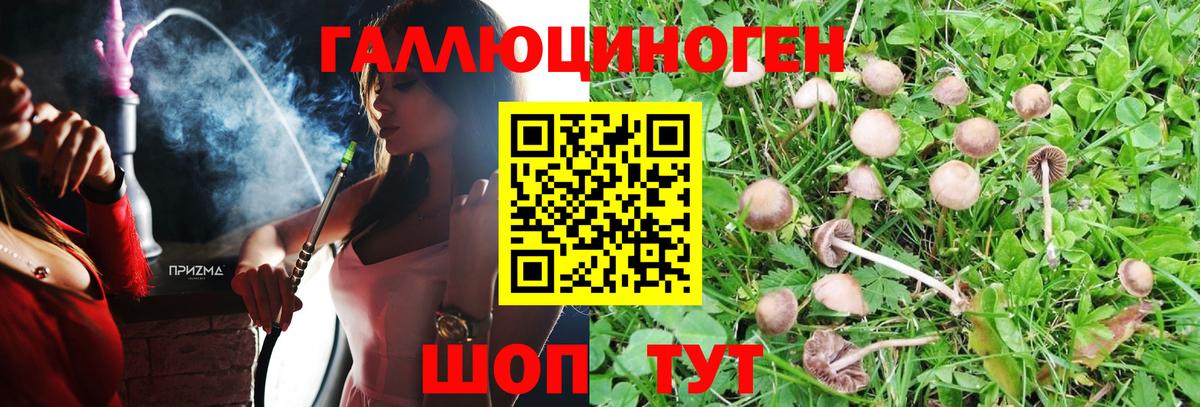 Псилоцибиновые грибы прущие грибы Шебекино