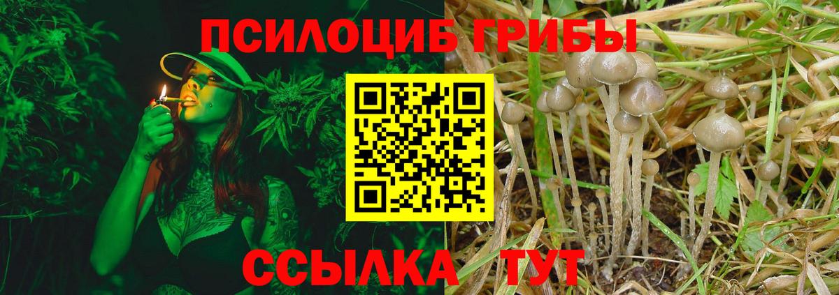Шебекино  Галлюциногенные грибы Magic Shrooms  Вход с VPN 
